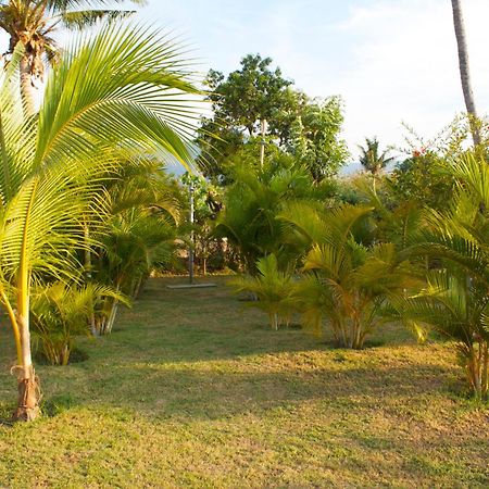 Bali Oase Resort Pemuteran Exterior foto