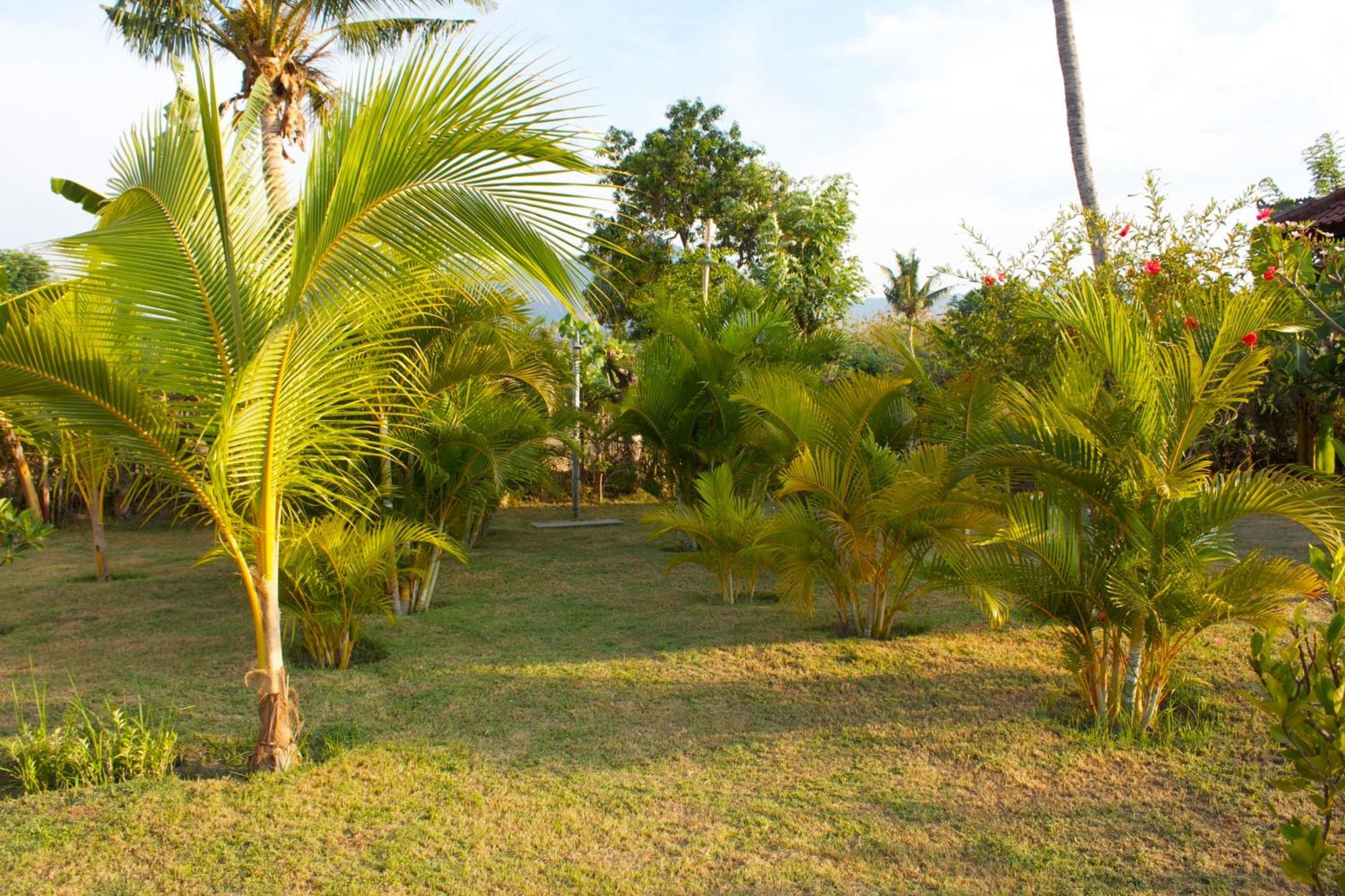 Bali Oase Resort Pemuteran Exterior foto