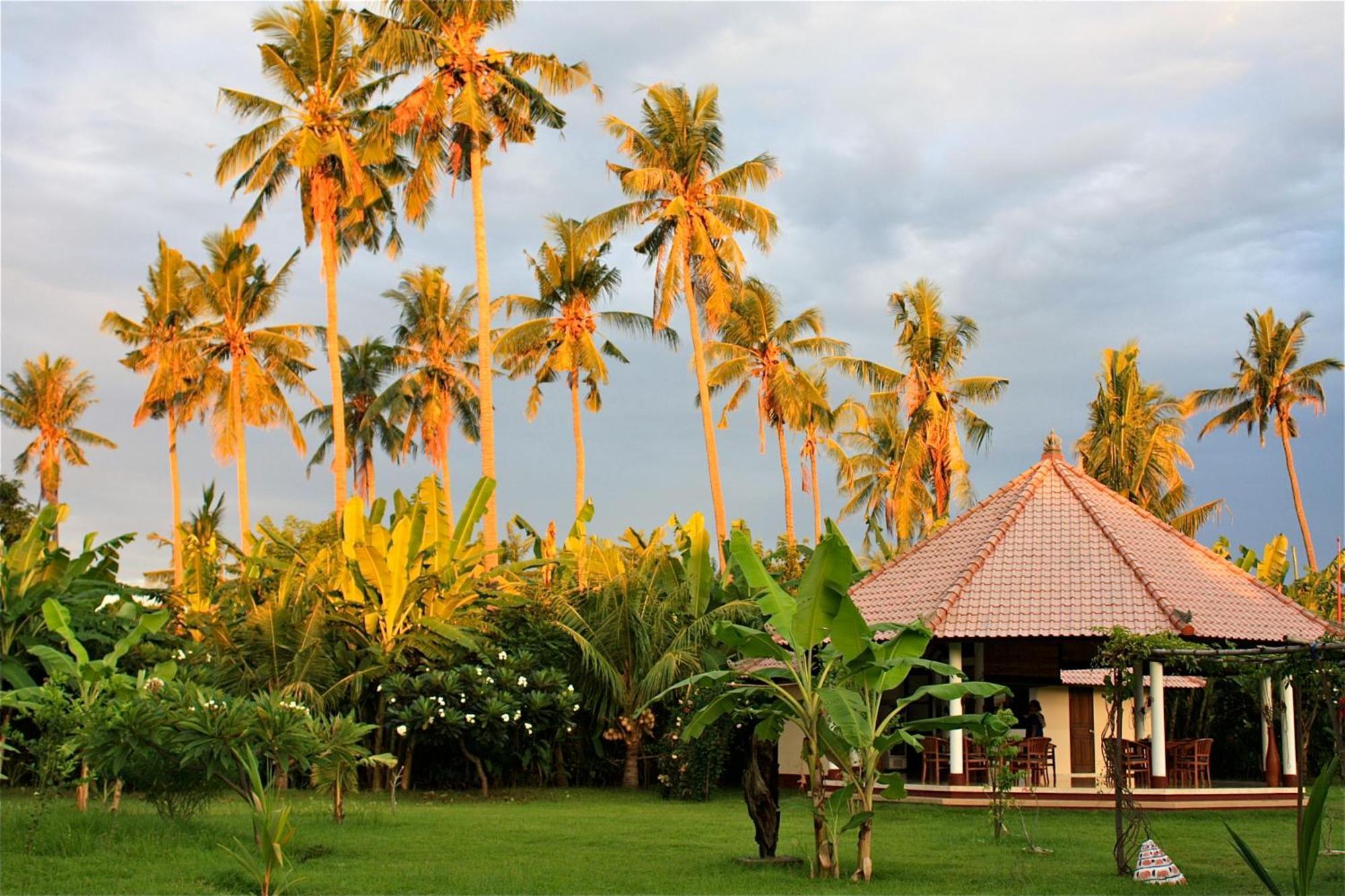 Bali Oase Resort Pemuteran Exterior foto